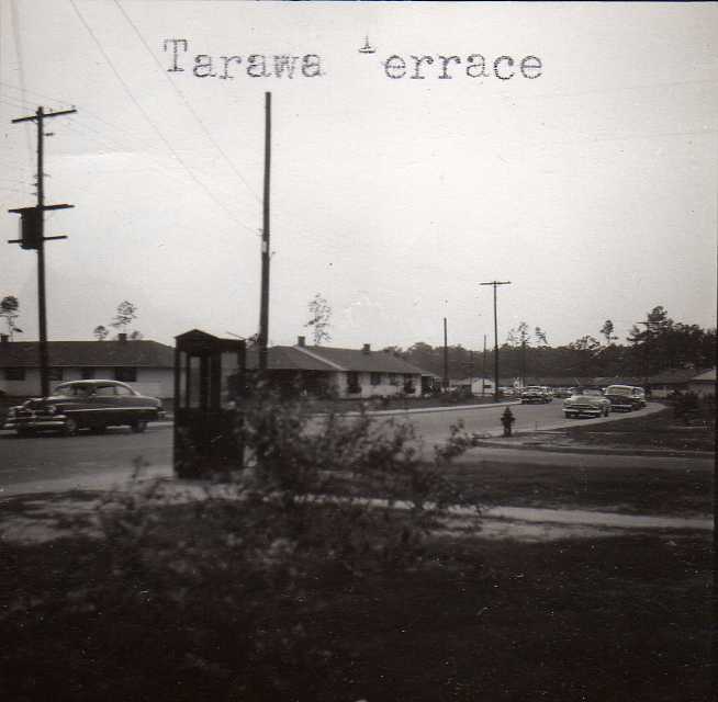 Image 66